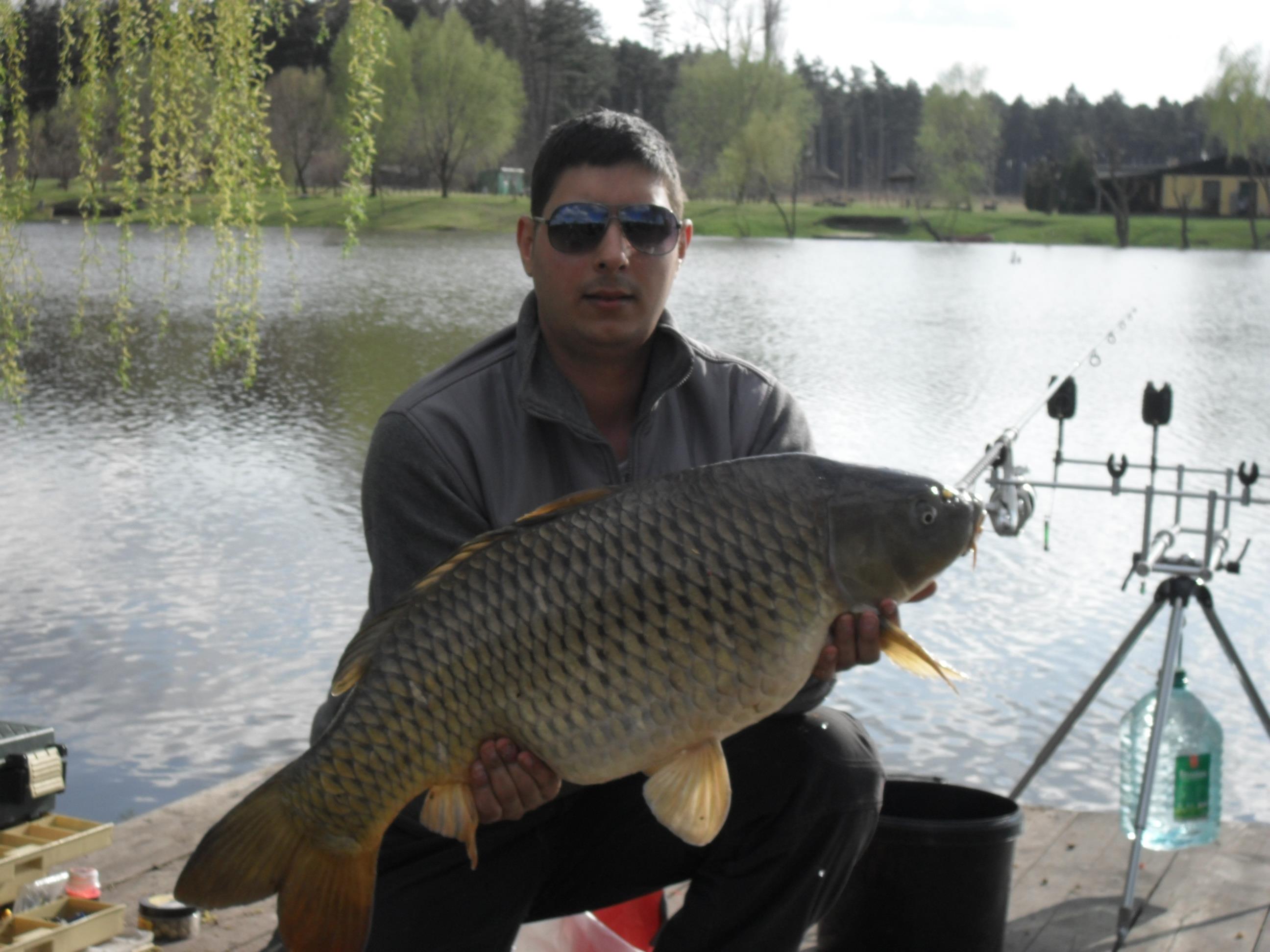 Palic 2012 primavara - SAM_0612.JPG